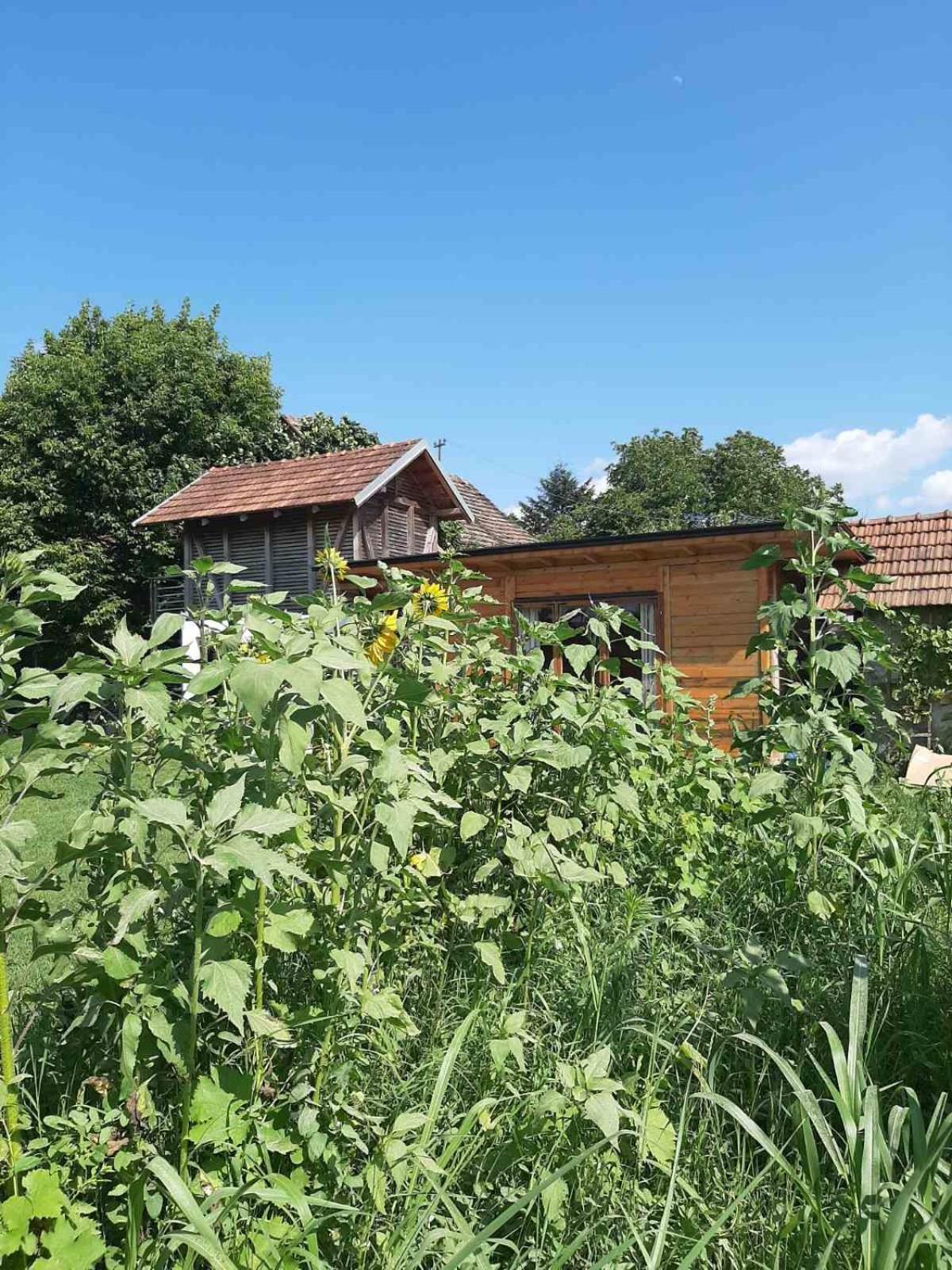 Morava Garden Resort Jagodina Eksteriør billede